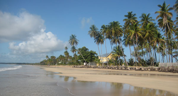 Caribbean Commercial Real Estate For Sale
